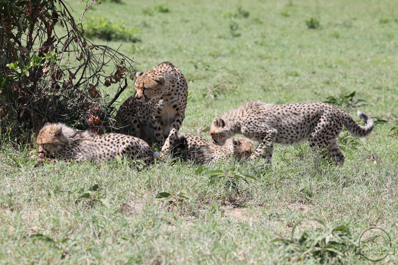 [520] 2019_07_03_15_25_33_Africa_Canon_EOS_5D_Mark_IV_IMG_0013409_00189.jpg