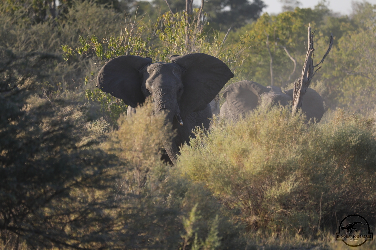[536] 2019_06_20_12_40_55_Africa_Canon_EOS_5D_Mark_IV_IMG_0000782_00197.jpg