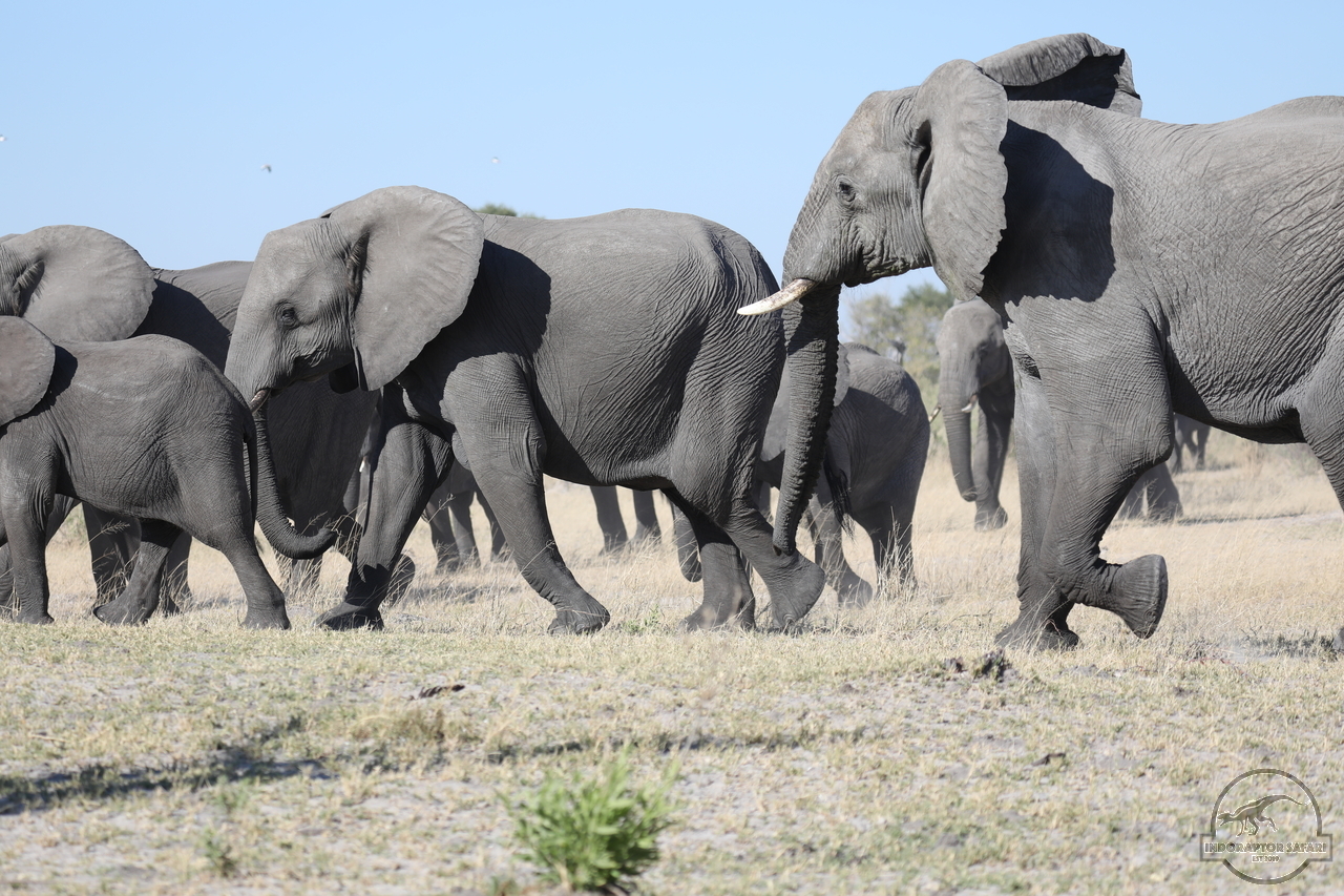[541] 2019_06_20_14_44_30_Africa_Canon_EOS_5D_Mark_IV_IMG_0001078_00006.jpg