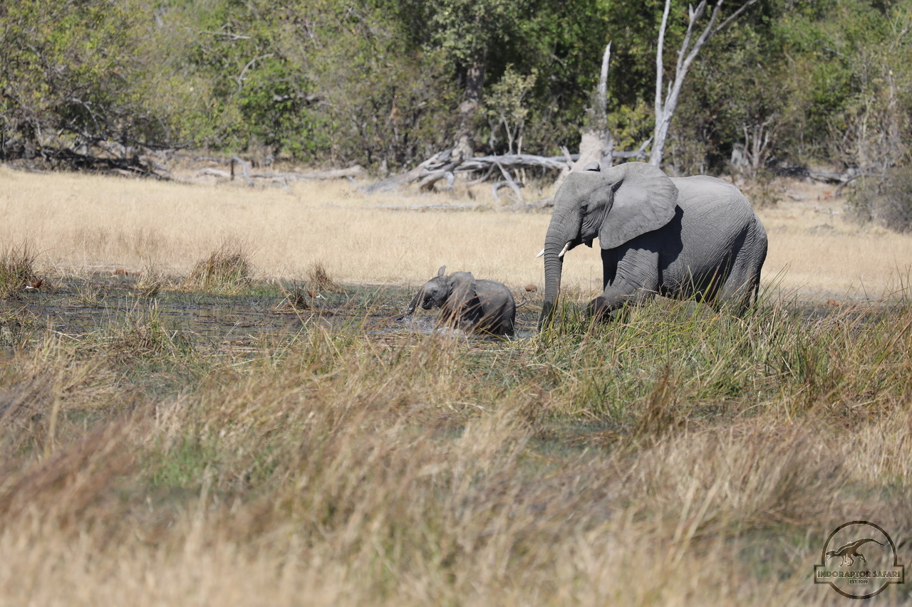 [552] 2019_06_20_16_27_18_Africa_Canon_EOS_5D_Mark_IV_IMG_0001768_00205.jpg