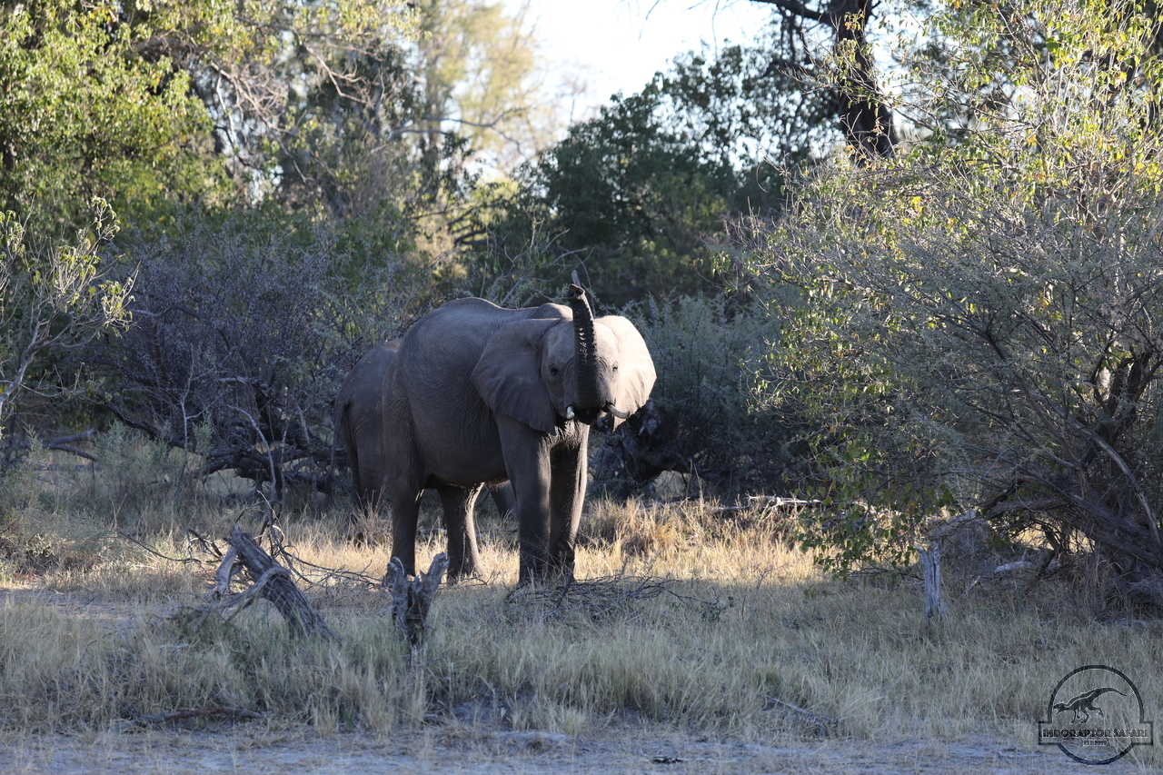 [569] 2019_06_22_13_03_42_Africa_Canon_EOS_5D_Mark_IV_IMG_0002615_00017.jpg