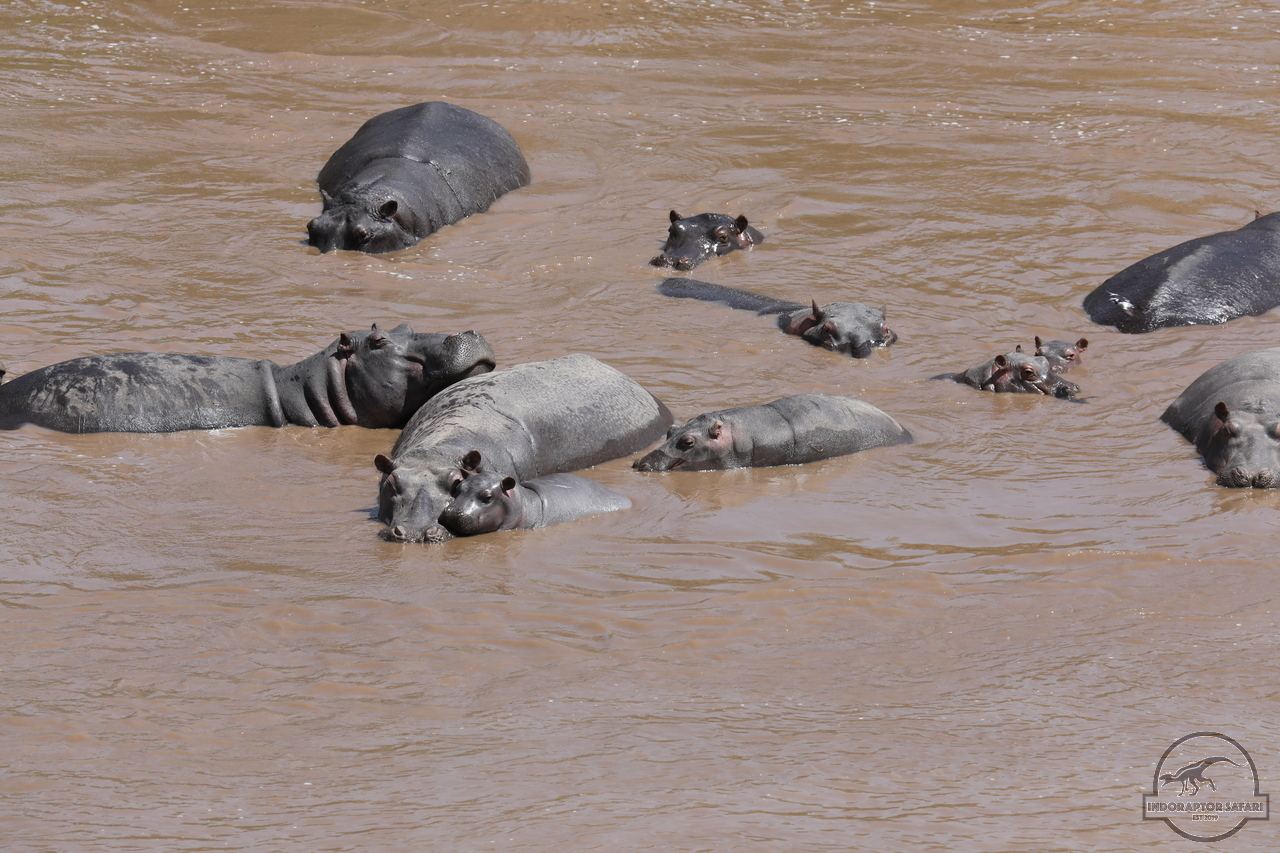 [688] 2019_07_01_16_30_37_Africa_Canon_EOS_5D_Mark_IV_IMG_0011477_00273.jpg