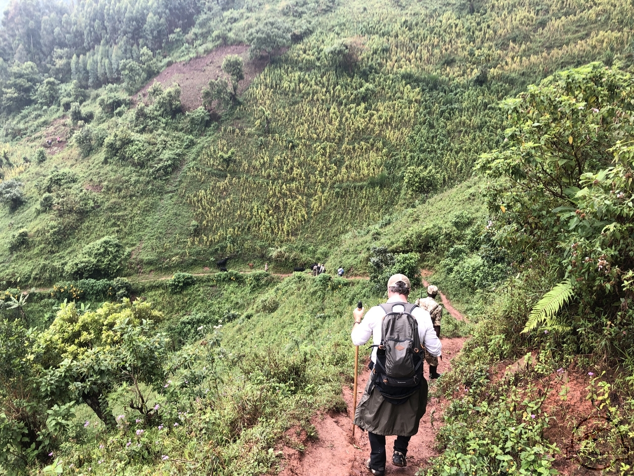 [845] 2019_06_27_09_22_15_Africa_iPhone_X_IMG_9489_00078.jpg
