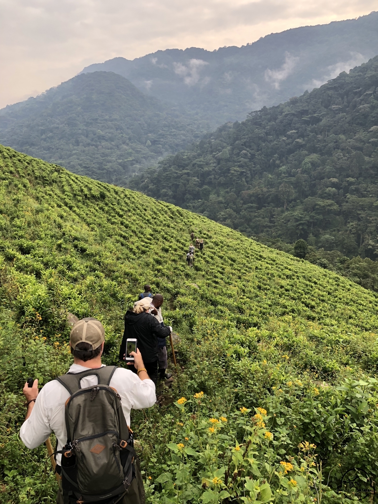[850] 2019_06_27_09_57_18_Africa_iPhone_X_IMG_9496_00356.jpg