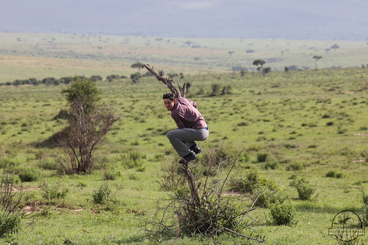 [956] 2019_07_01_20_08_36_Africa_Canon_EOS_5D_Mark_IV_IMG_0011684_00376.jpg