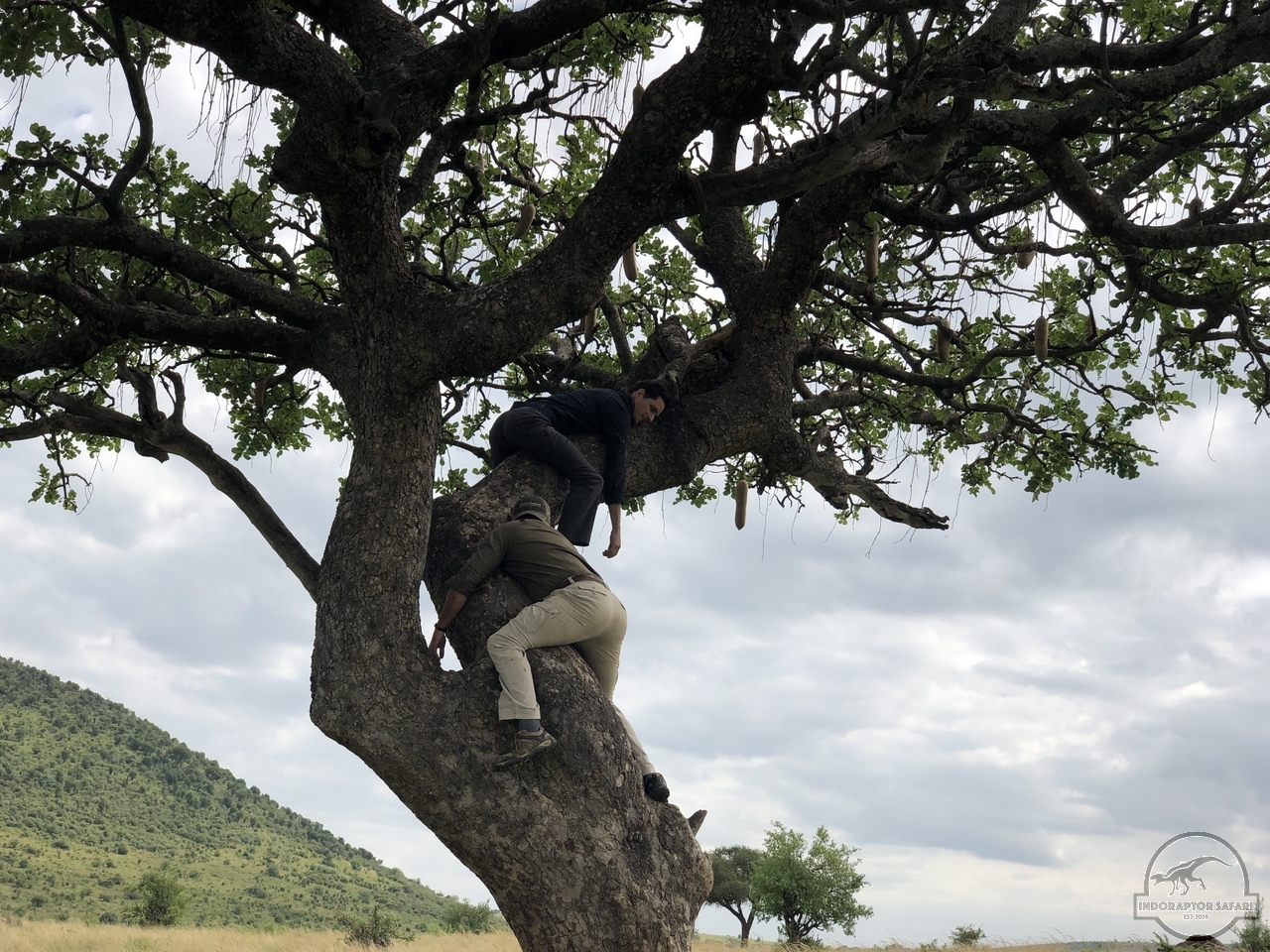 [1001] 2019_07_04_10_26_44_Africa_iPhone_X_IMG_4631_00118.jpg