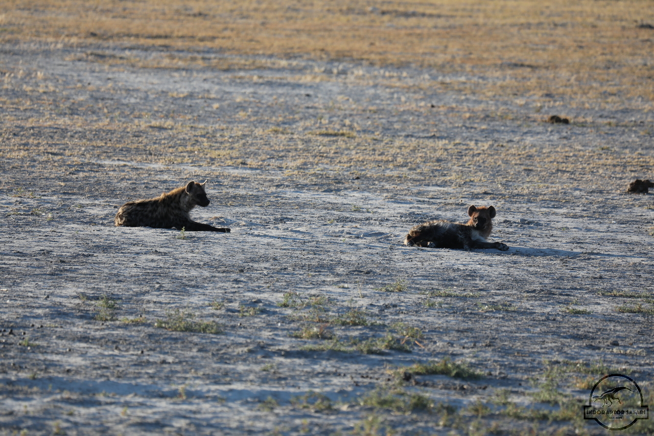 [1056] 2019_06_21_12_39_52_Africa_Canon_EOS_5D_Mark_IV_IMG_0003644_00460.jpg
