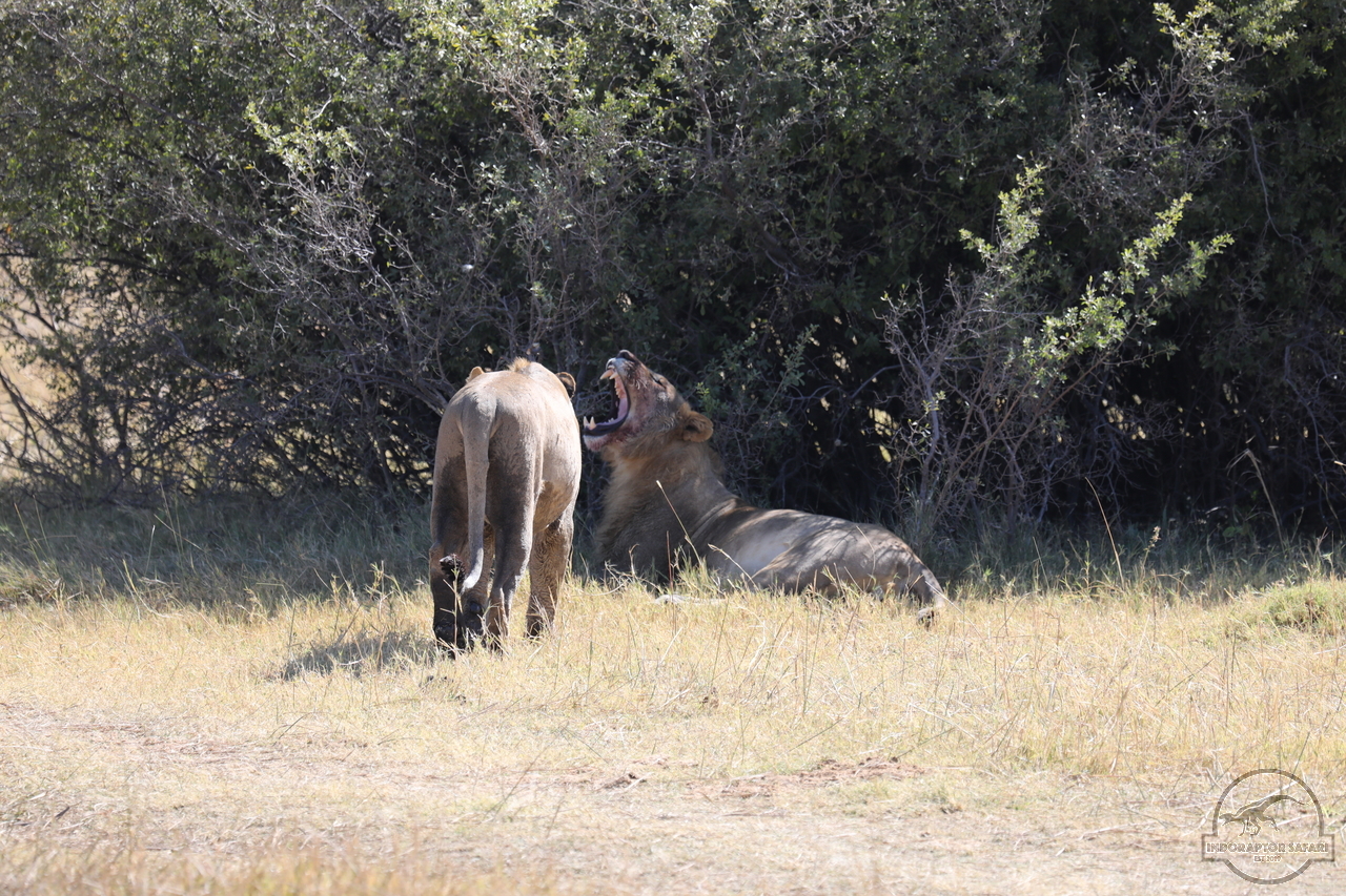 [1073] 2019_06_20_16_08_57_Africa_Canon_EOS_5D_Mark_IV_IMG_0001328_00002.jpg