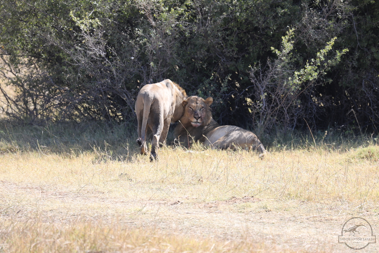 [1078] 2019_06_20_16_08_59_Africa_Canon_EOS_5D_Mark_IV_IMG_0001332_00471.jpg