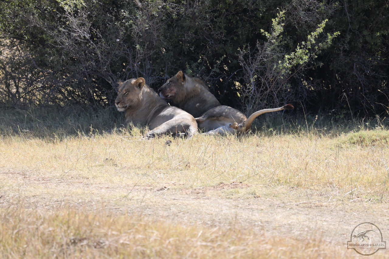 [1084] 2019_06_20_16_09_03_Africa_Canon_EOS_5D_Mark_IV_IMG_0001338_00474.jpg
