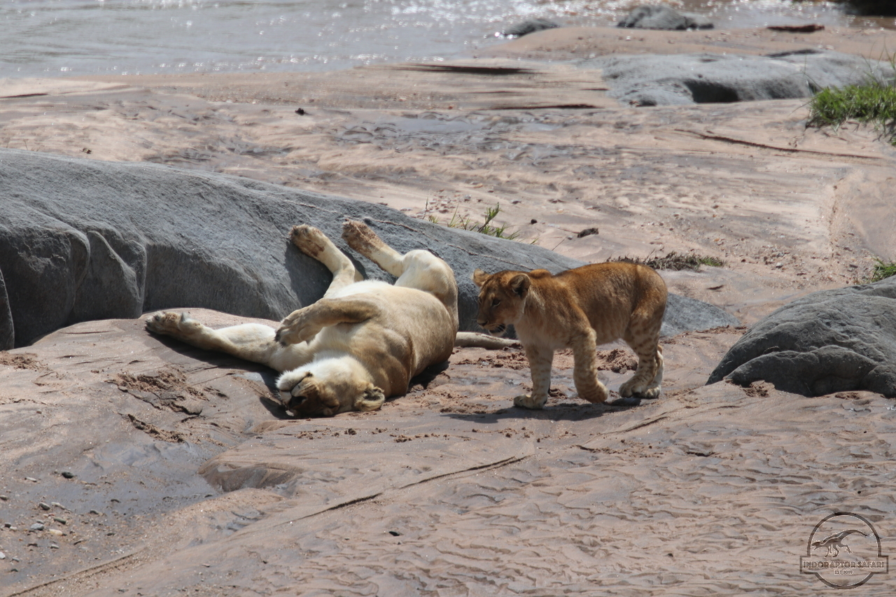 [1105] 2019_06_30_11_16_21_Africa_Canon_EOS_77D_IMG_2088_00030.jpg