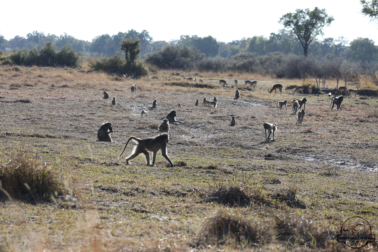 [1164] 2019_06_21_13_56_23_Africa_Canon_EOS_5D_Mark_IV_IMG_0003707_00514.jpg