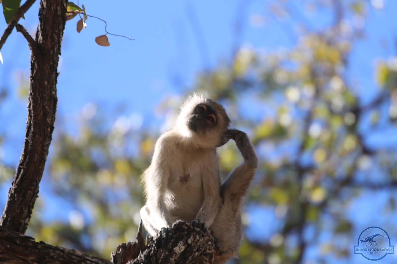 [1168] 2019_06_24_10_11_56_Africa_Canon_EOS_77D_IMG__00516.jpg