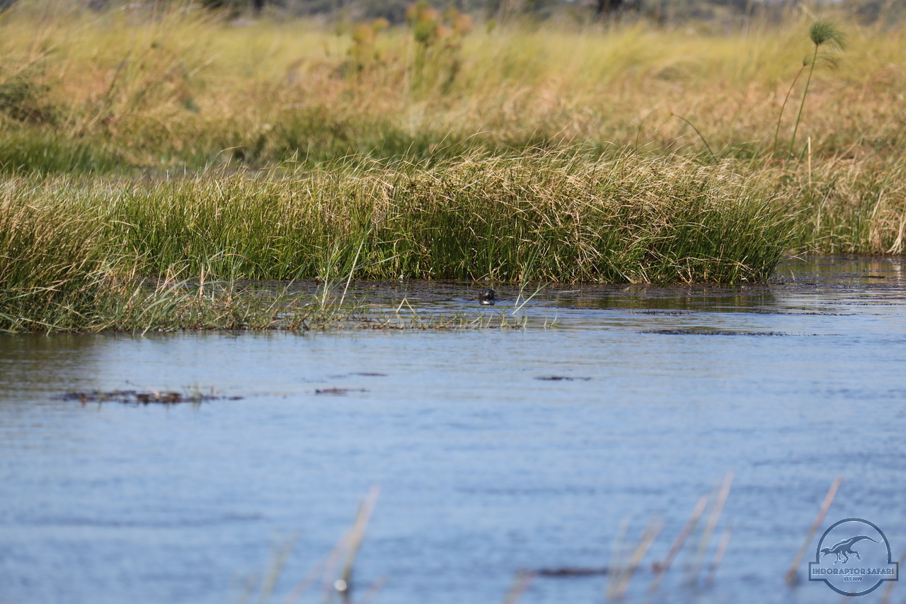 [1184] 2019_06_21_17_32_06_Africa_Canon_EOS_5D_Mark_IV_IMG_0004050_00524.jpg