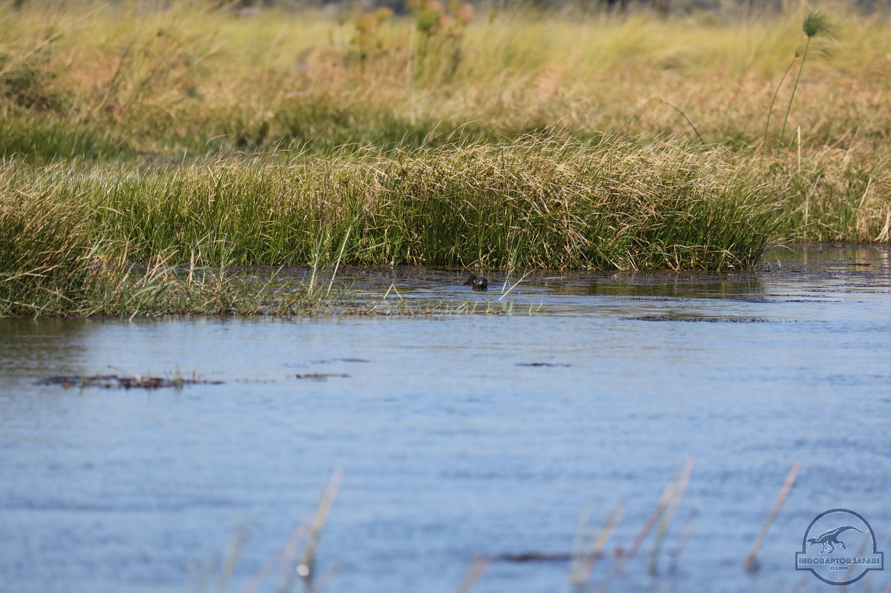 [1185] 2019_06_21_17_32_06_Africa_Canon_EOS_5D_Mark_IV_IMG_0004051_00007.jpg