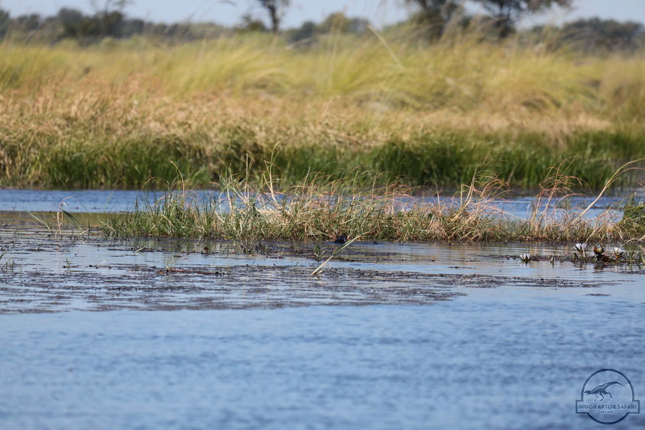 [1211] 2019_06_21_17_32_57_Africa_Canon_EOS_5D_Mark_IV_IMG_0004064_00020.jpg