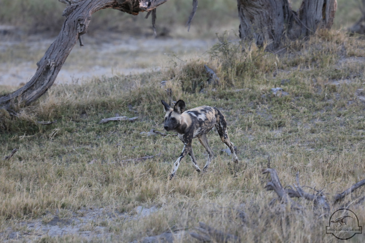 [1255] 2019_06_22_22_47_05_Africa_Canon_EOS_5D_Mark_IV_IMG_0003589_00012.jpg